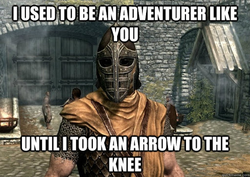 I used to be an adventurer like you meme